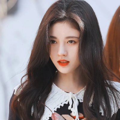 万紫千红花弄蝶